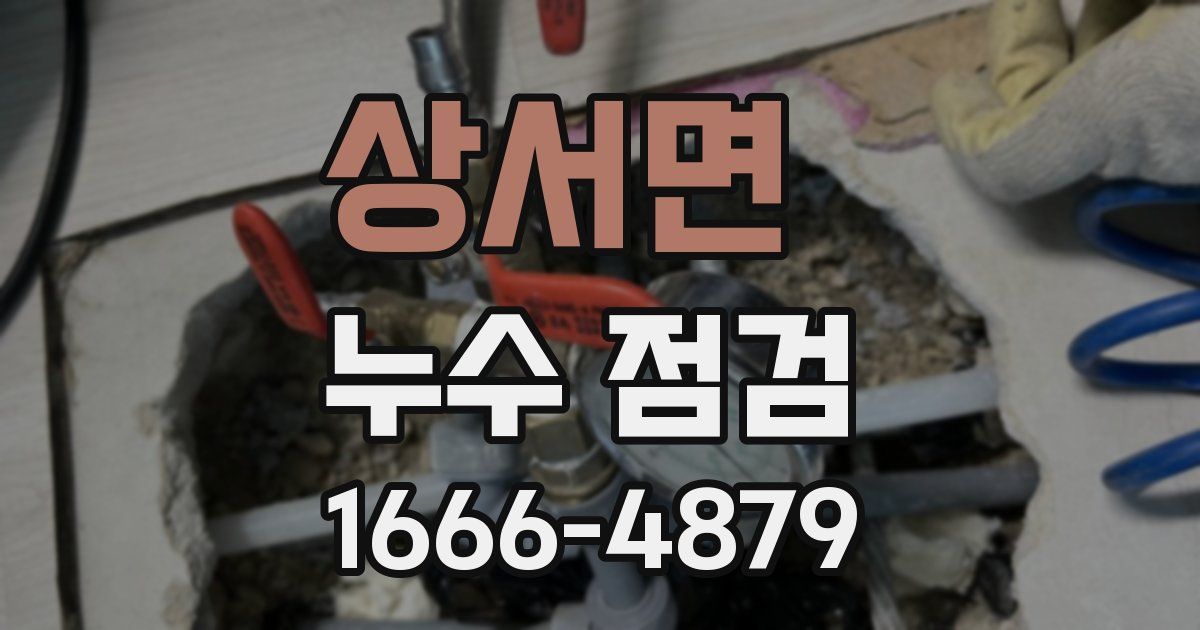 상서면 누수 점검