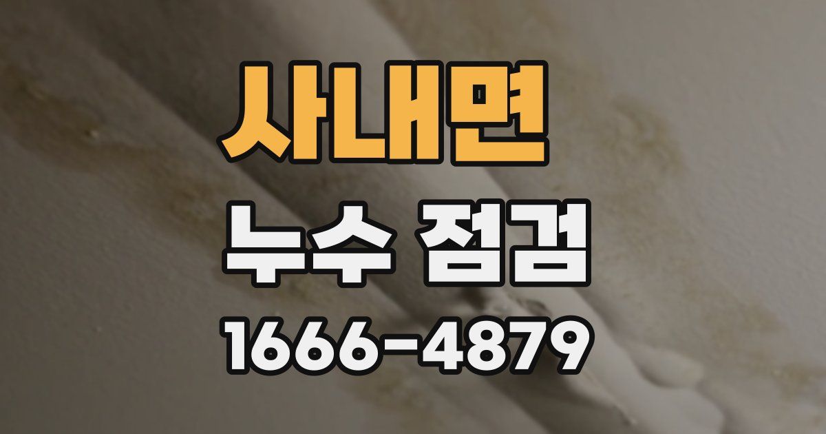 사내면 누수 점검
