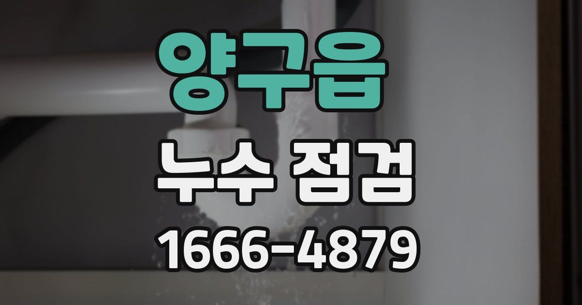 양구읍 누수 점검