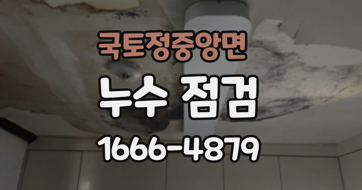 국토정중앙면 누수 점검