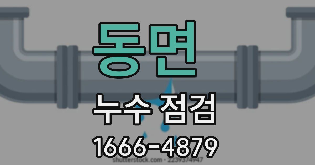 동면 누수 점검