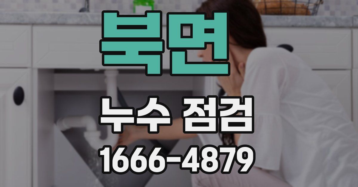 북면 누수 점검