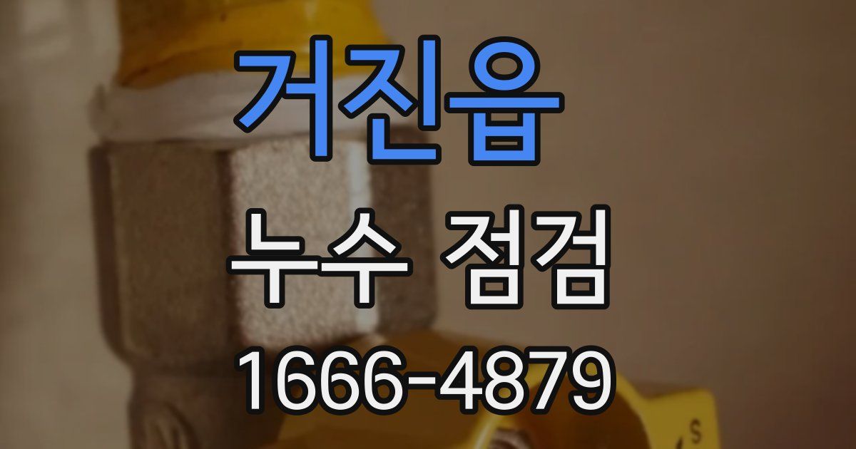 거진읍 누수 점검