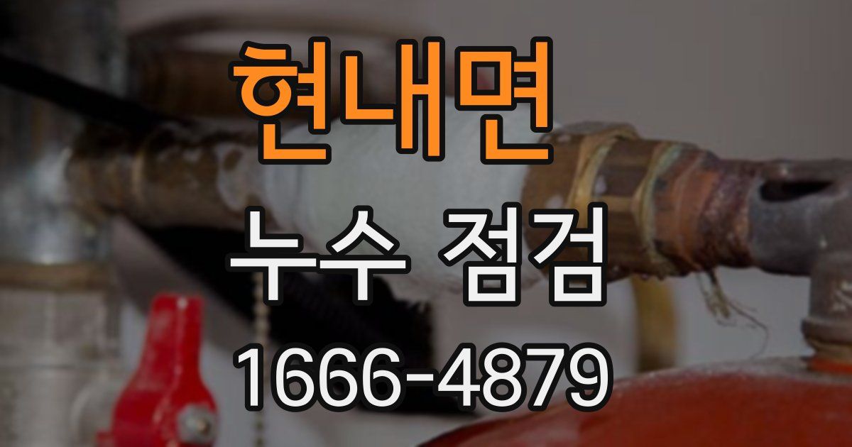 현내면 누수 점검
