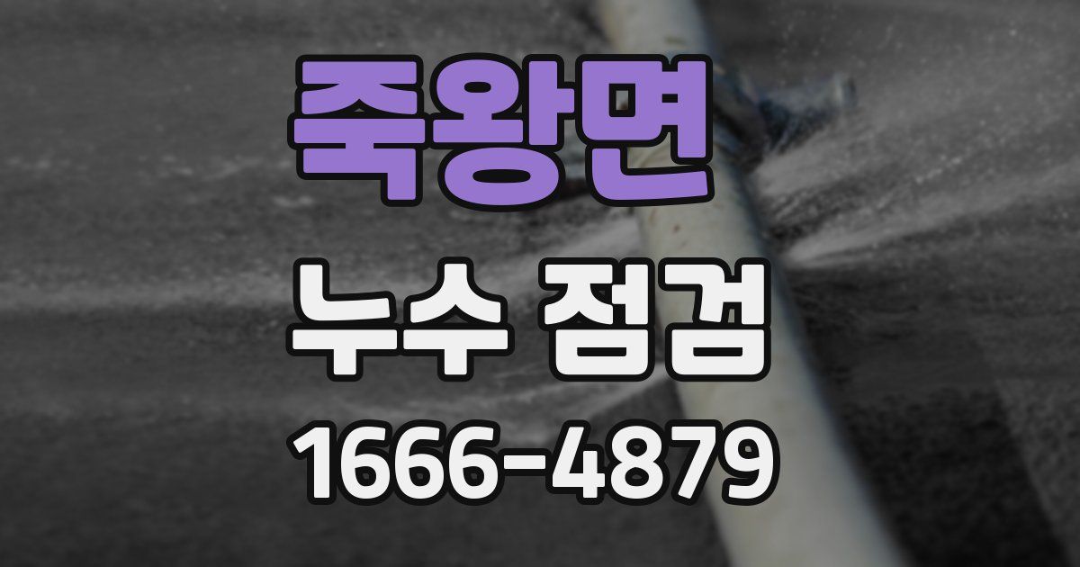 죽왕면 누수 점검