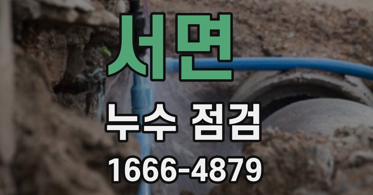서면 누수 점검