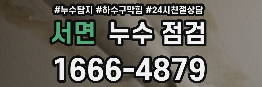 서면 누수 점검