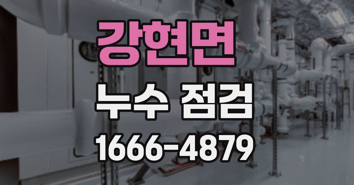 강현면 누수 점검