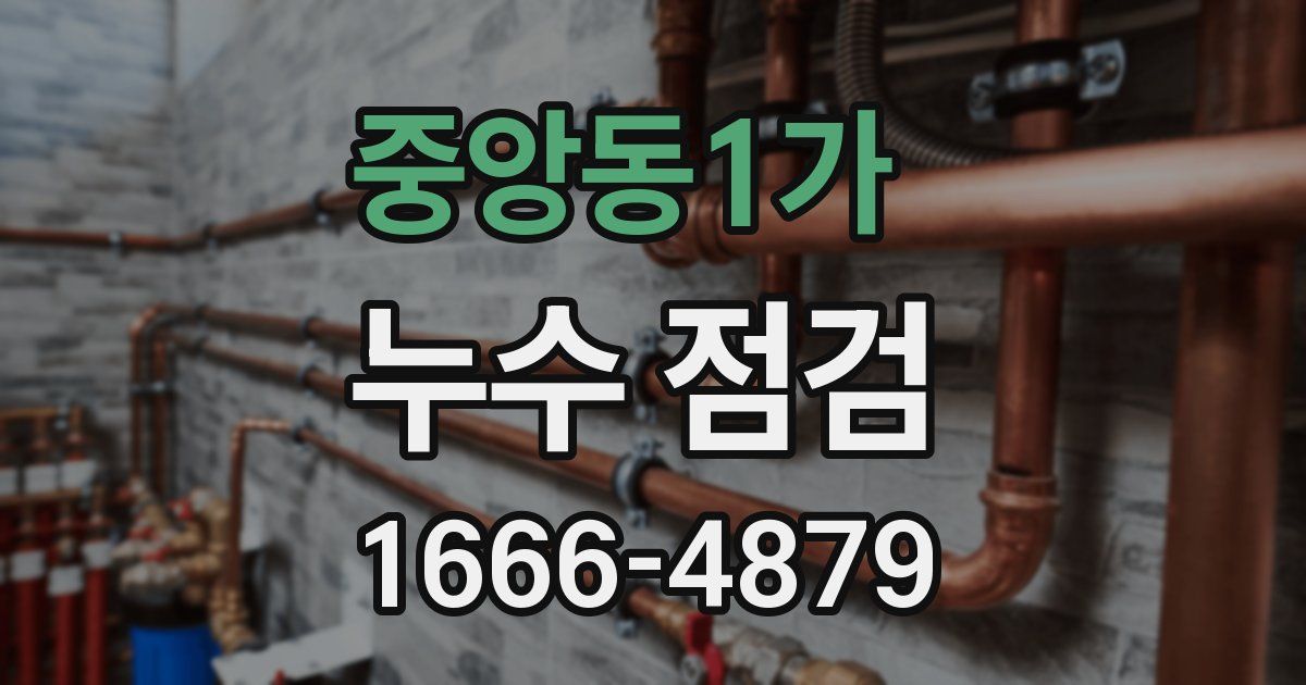 중앙동1가 누수 점검