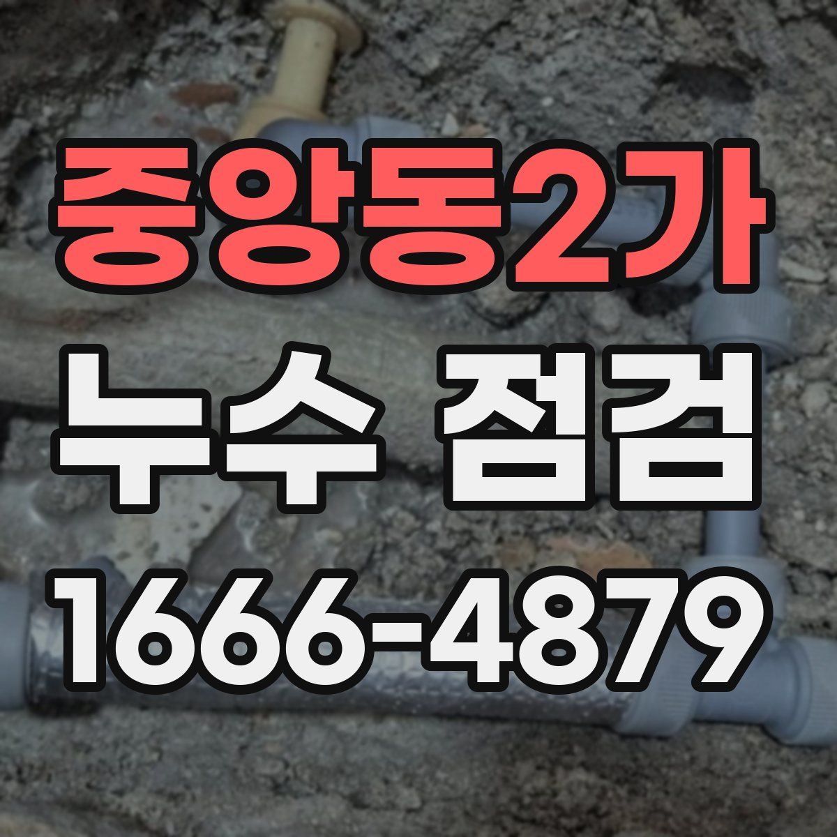 중앙동2가 누수 점검