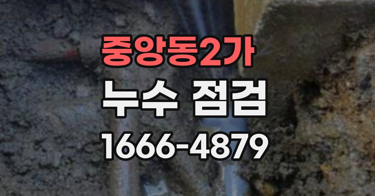 중앙동2가 누수 점검