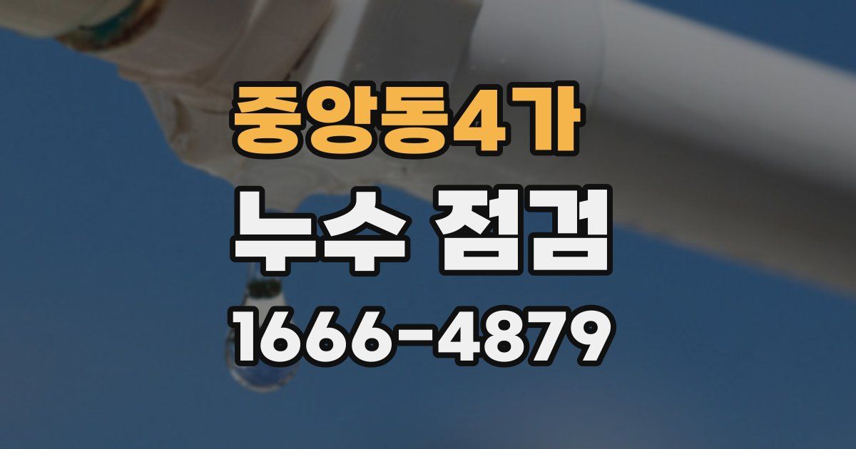 중앙동4가 누수 점검