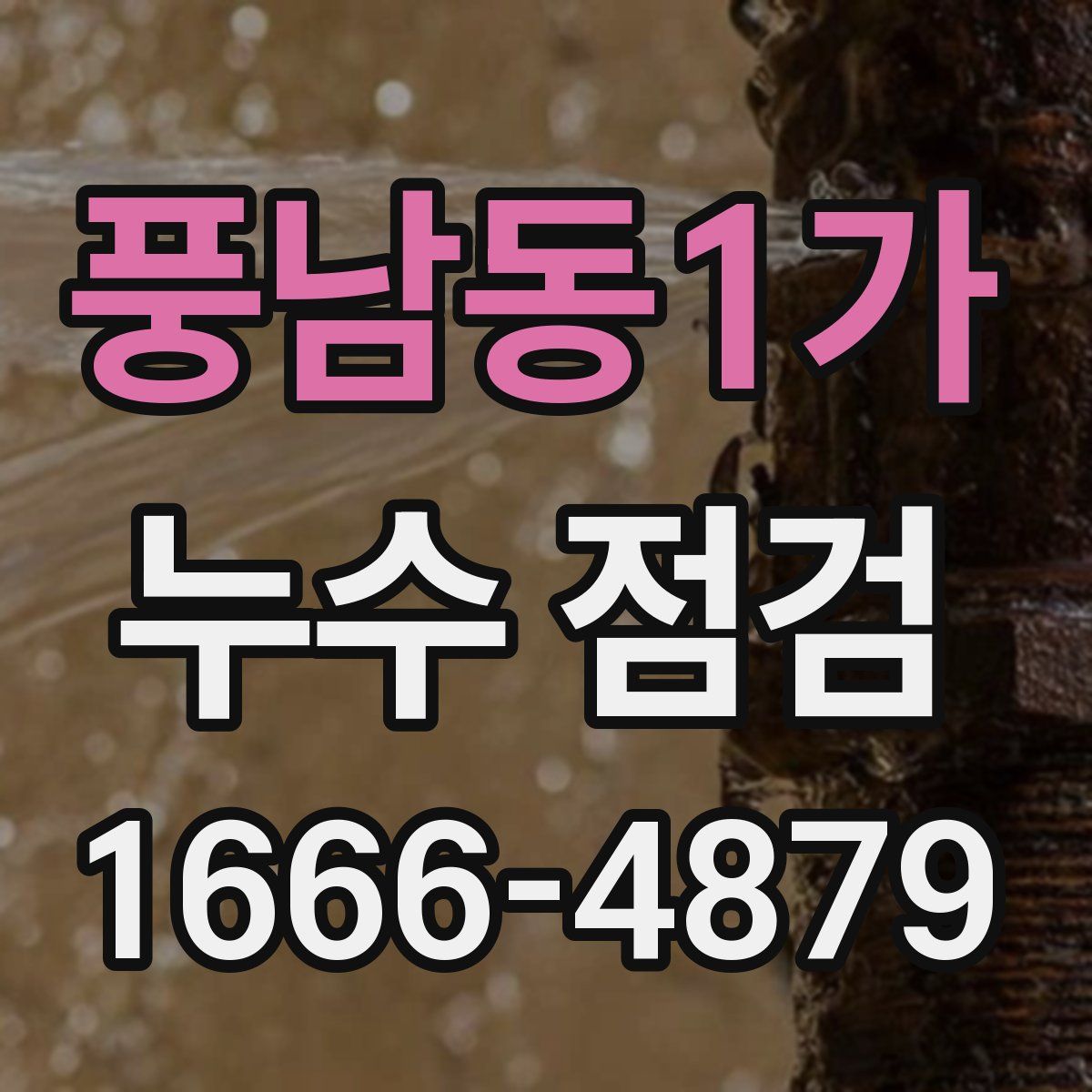 풍남동1가 누수 점검