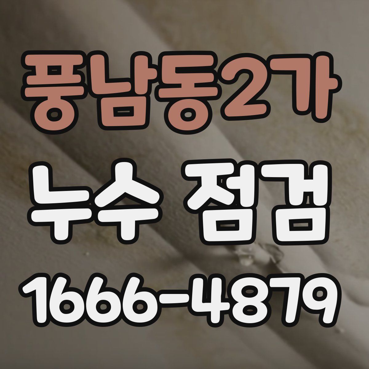 풍남동2가 누수 점검