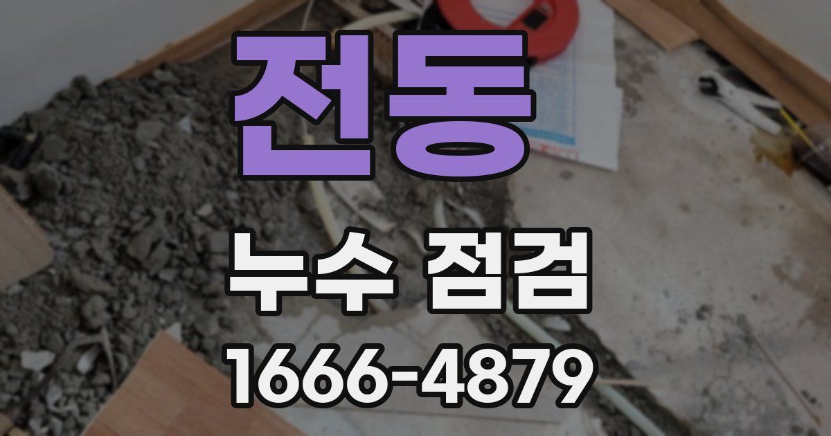 전동 누수 점검