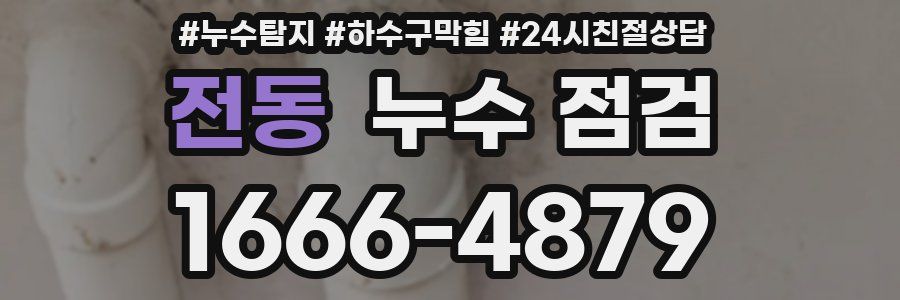 전동 누수 점검