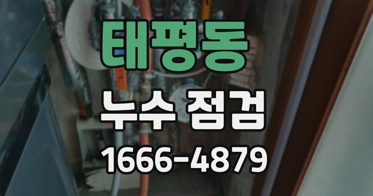 태평동 누수 점검