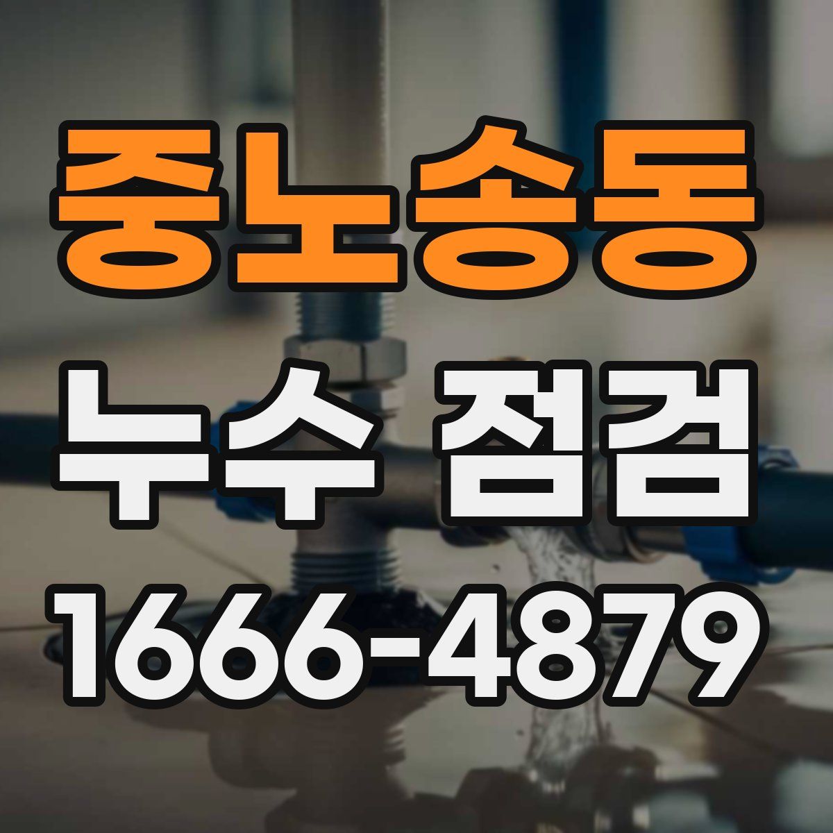 중노송동 누수 점검