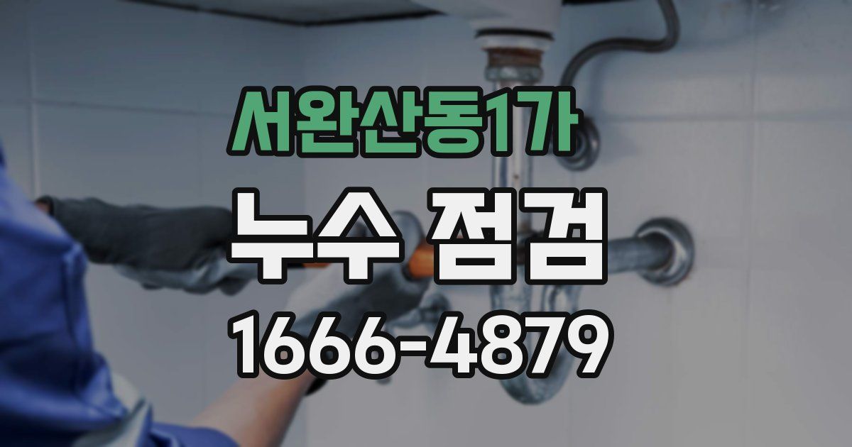 서완산동1가 누수 점검