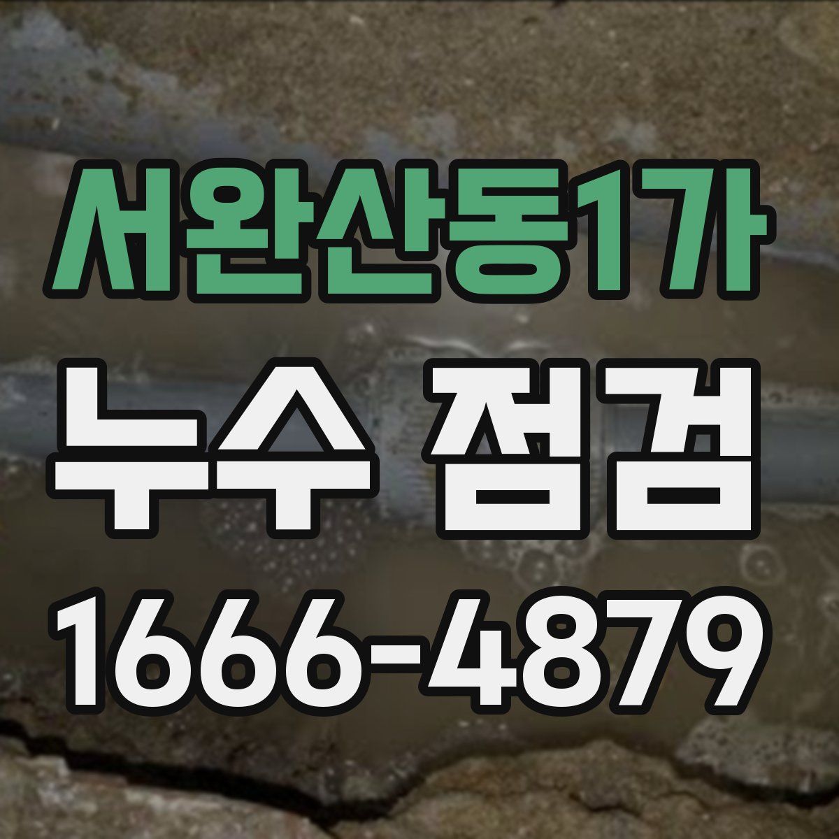 서완산동1가 누수 점검