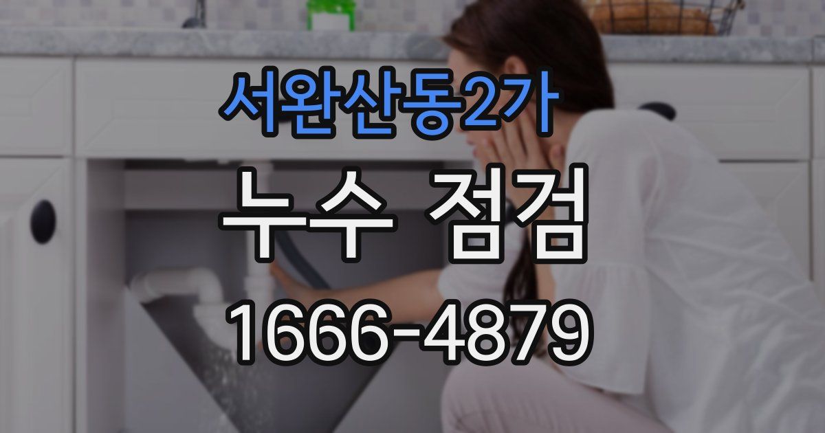 서완산동2가 누수 점검