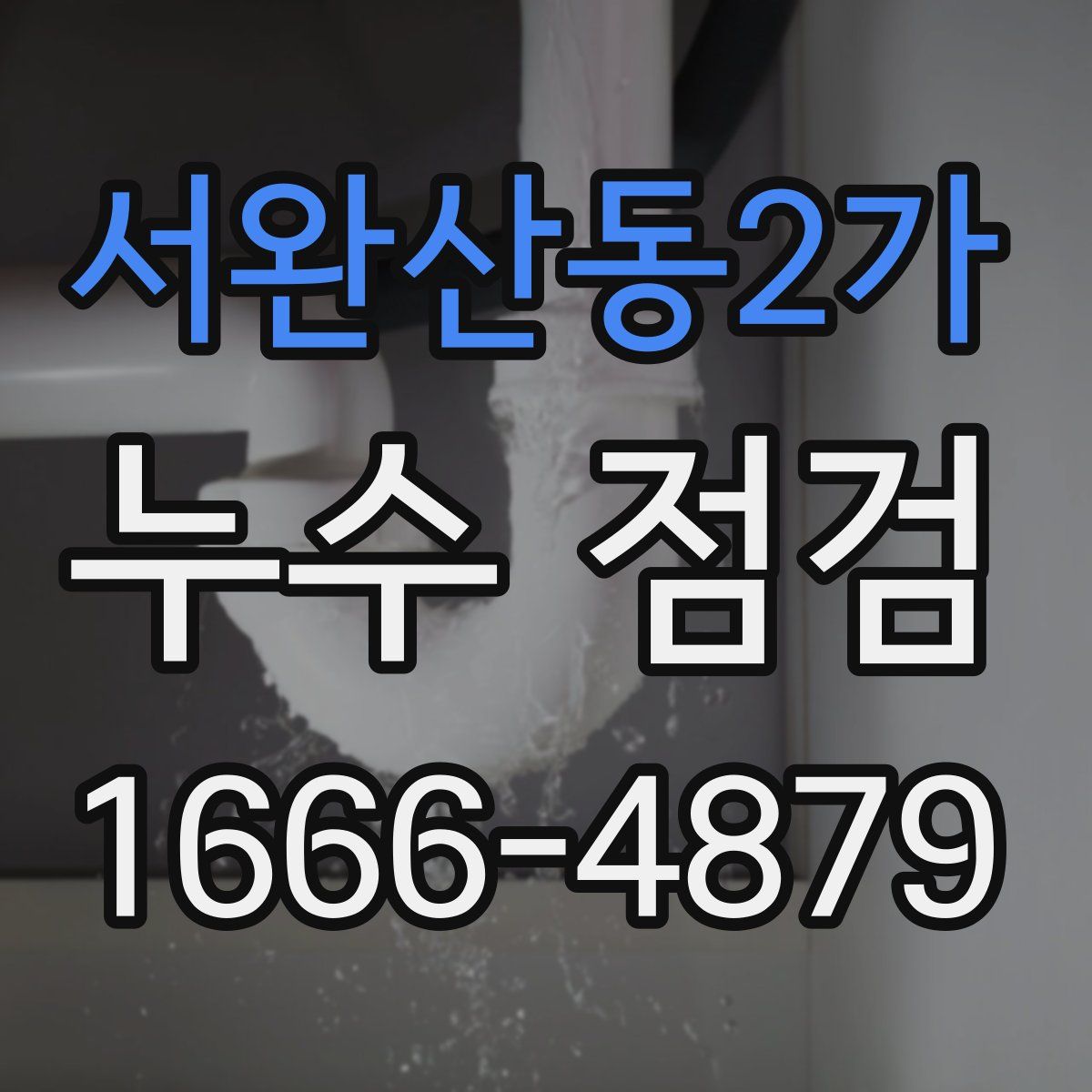 서완산동2가 누수 점검