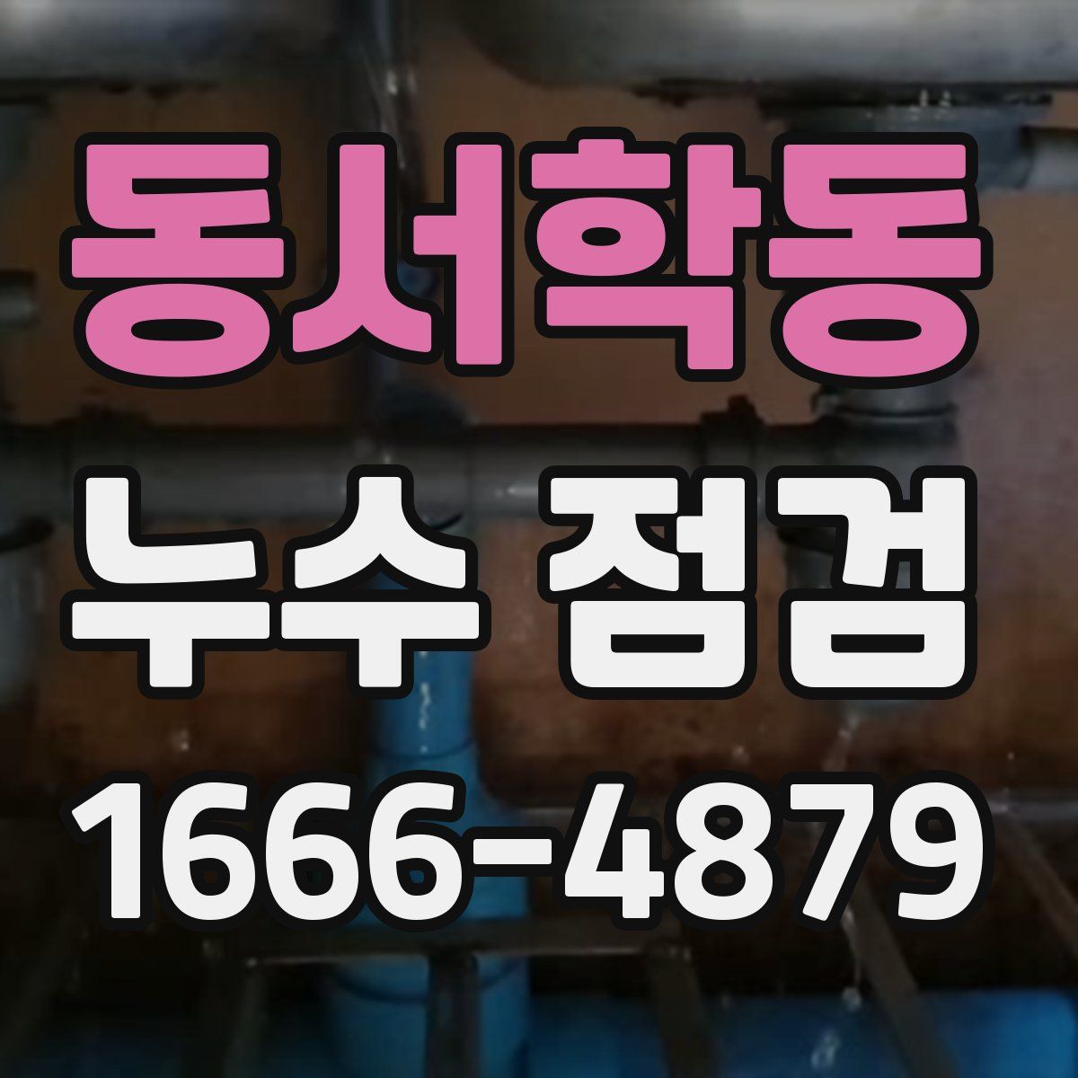동서학동 누수 점검