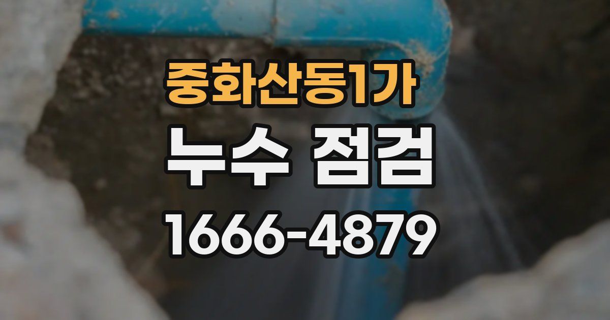 중화산동1가 누수 점검