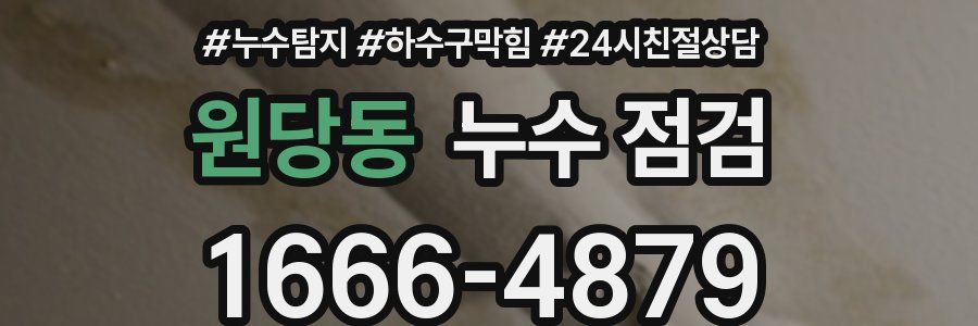 원당동 누수 점검