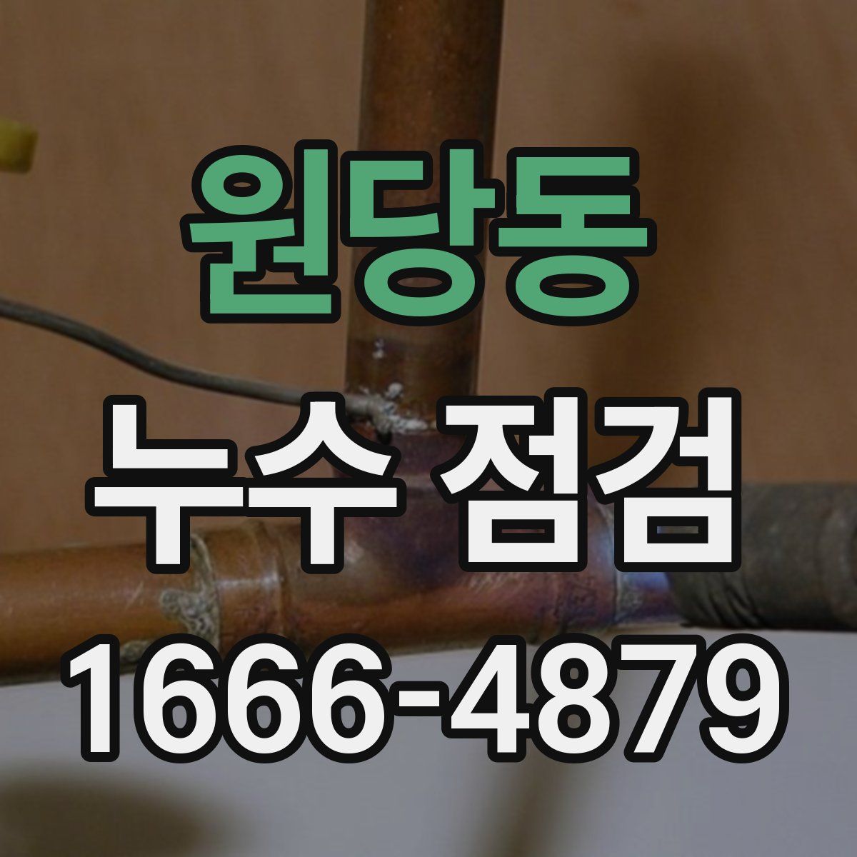 원당동 누수 점검