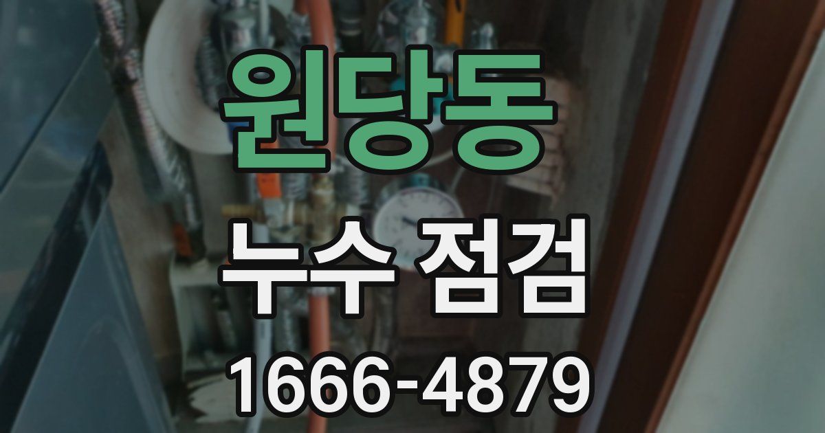 원당동 누수 점검
