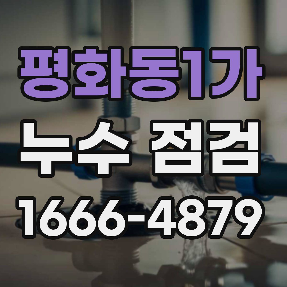 평화동1가 누수 점검