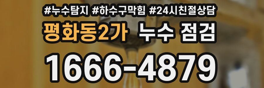 평화동2가 누수 점검
