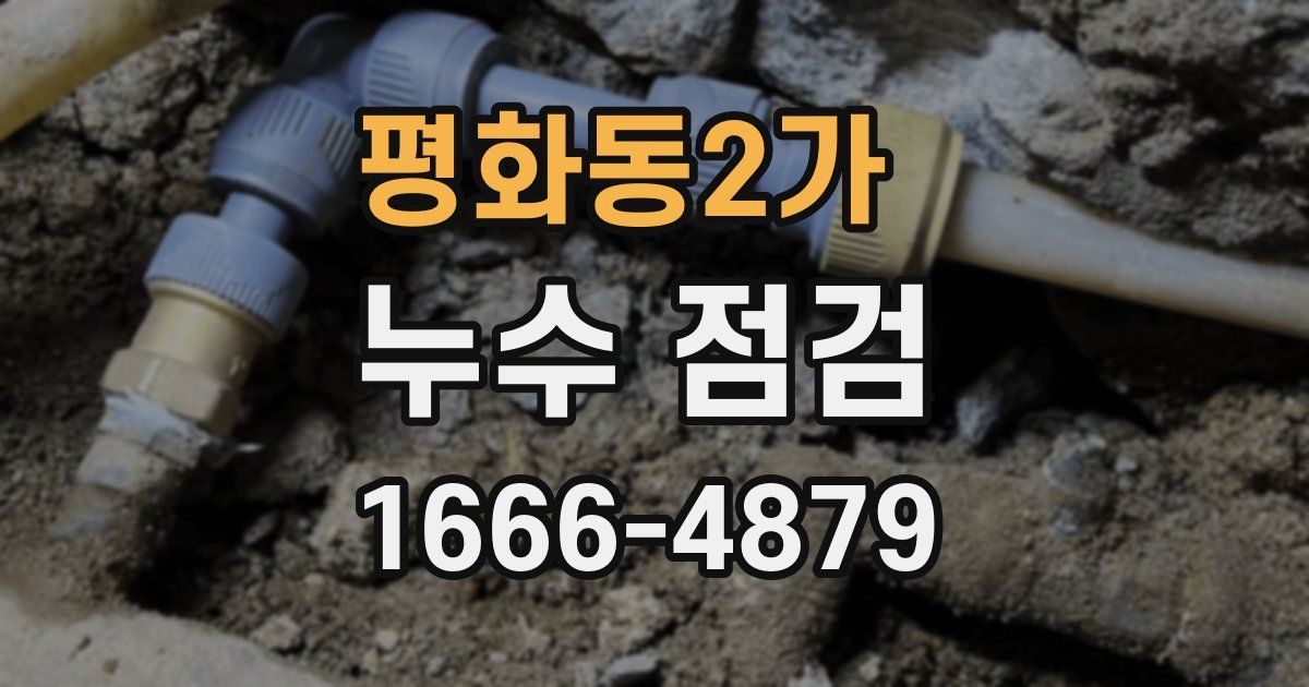 평화동2가 누수 점검