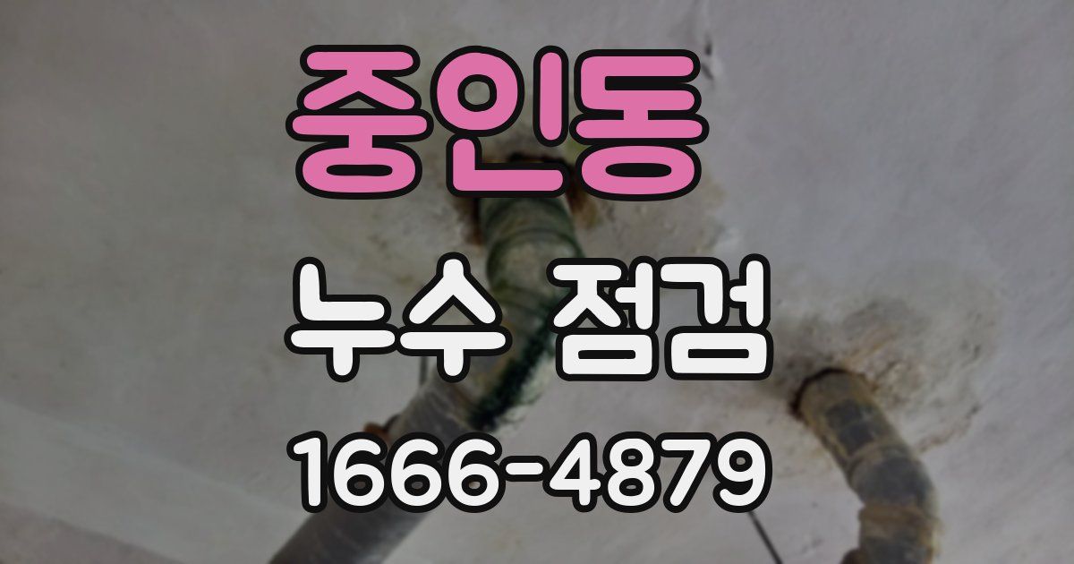 중인동 누수 점검