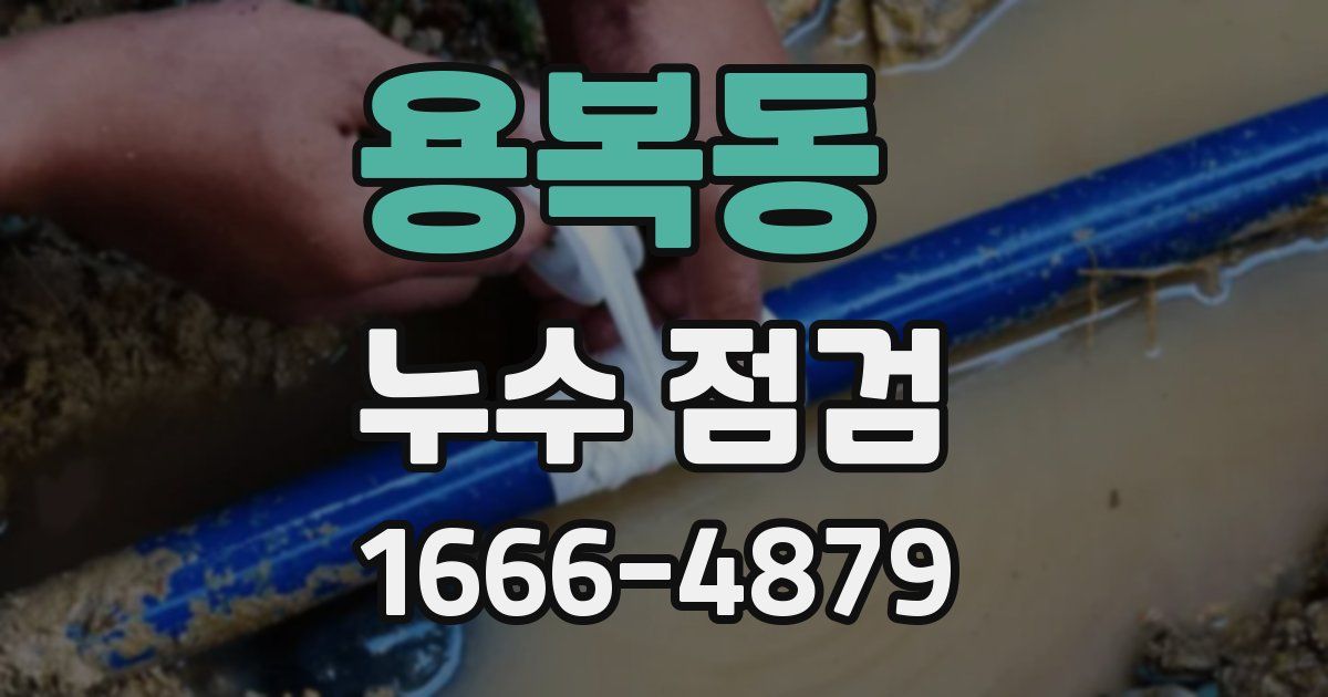 용복동 누수 점검