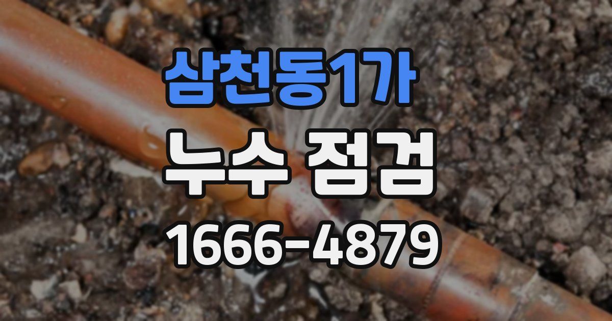 삼천동1가 누수 점검
