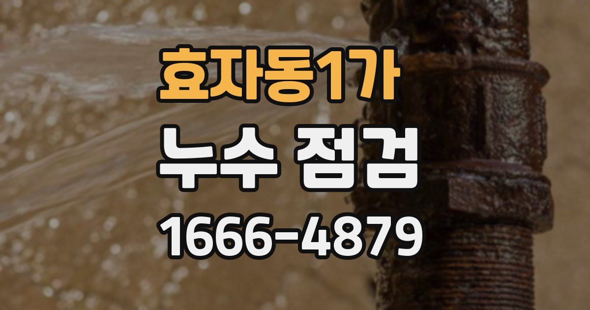 효자동1가 누수 점검