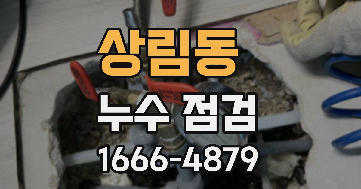 상림동 누수 점검