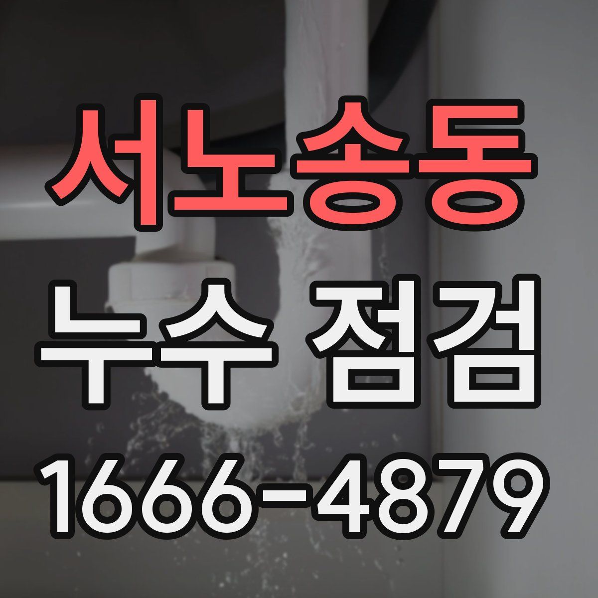 서노송동 누수 점검