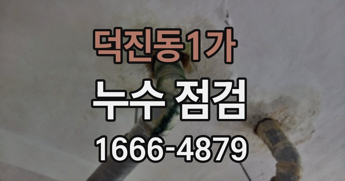 덕진동1가 누수 점검