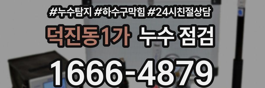 덕진동1가 누수 점검