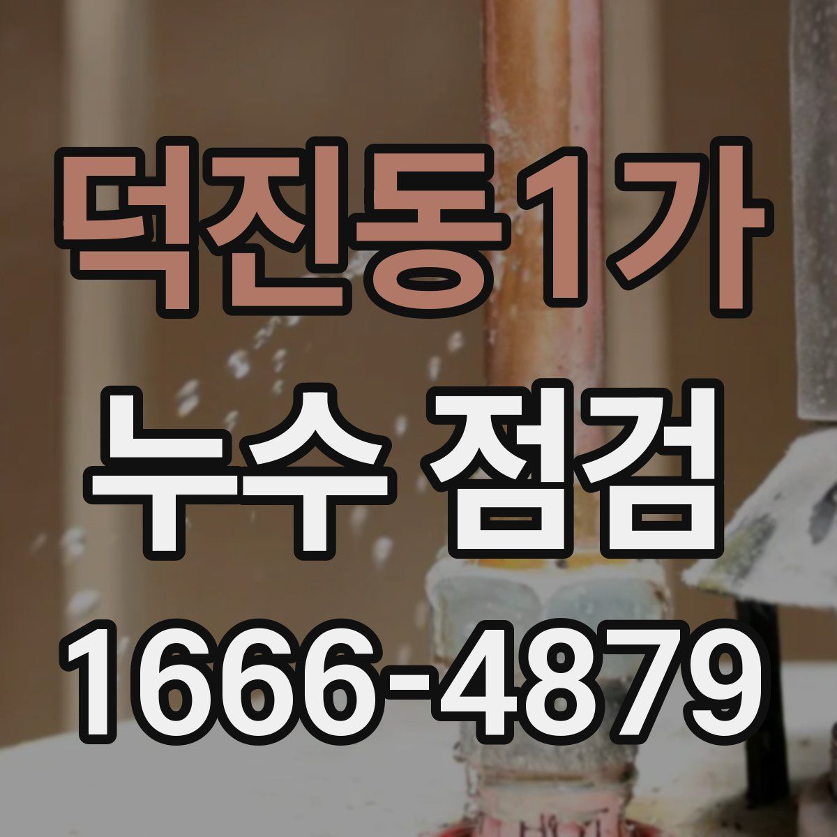 덕진동1가 누수 점검