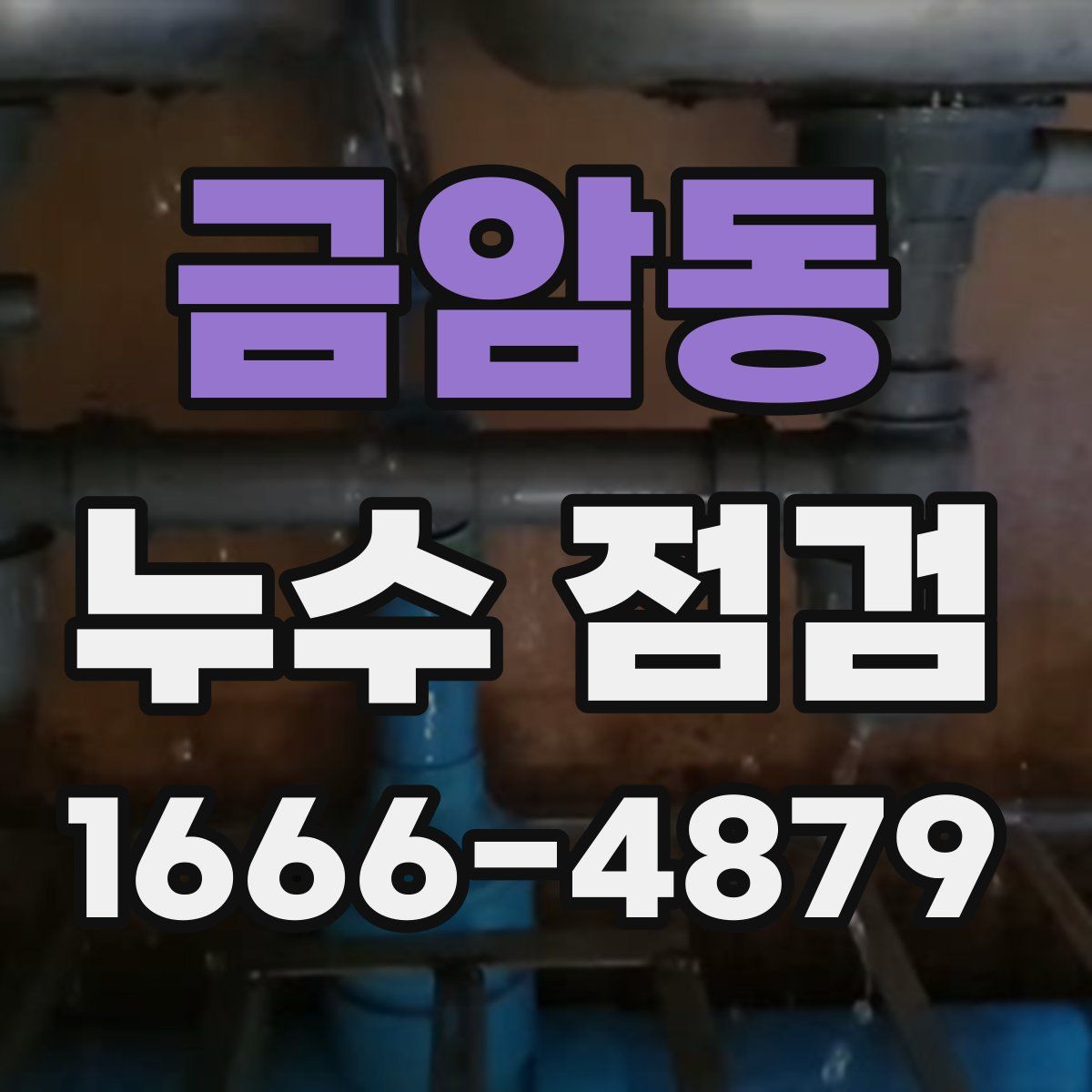 금암동 누수 점검