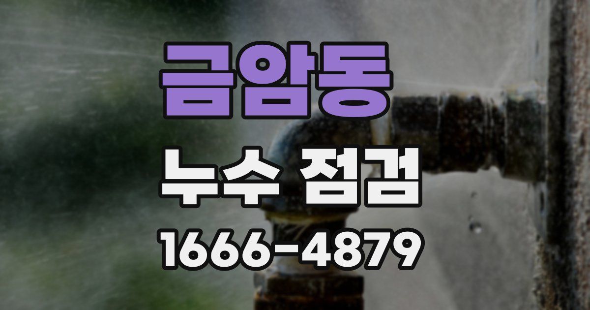 금암동 누수 점검