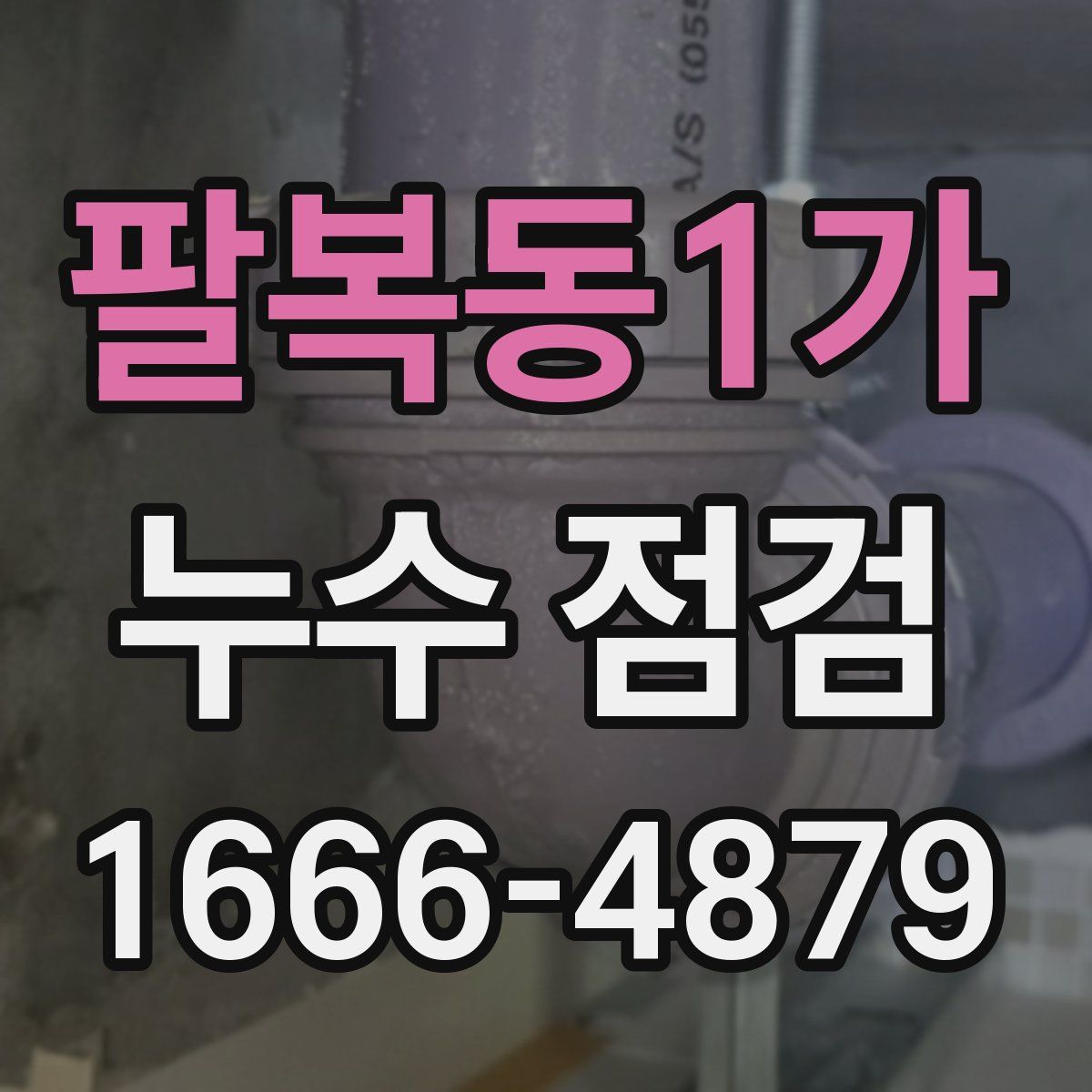 팔복동1가 누수 점검