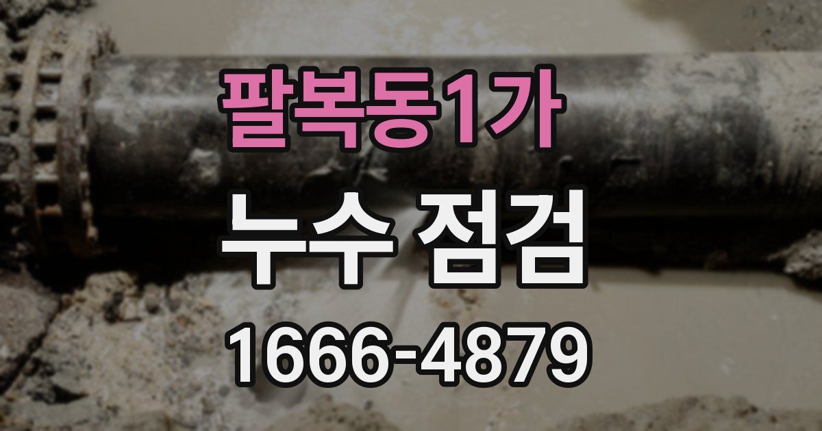 팔복동1가 누수 점검