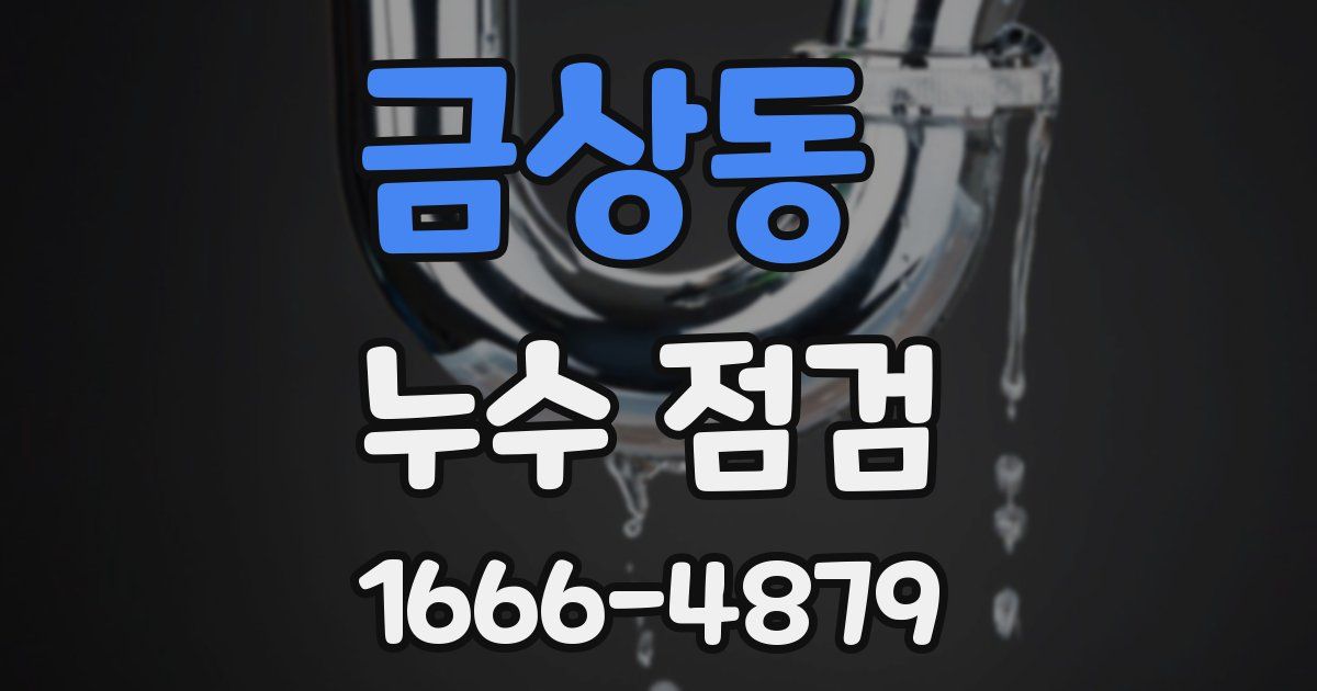 금상동 누수 점검
