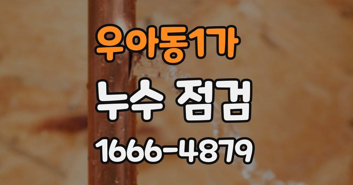 우아동1가 누수 점검