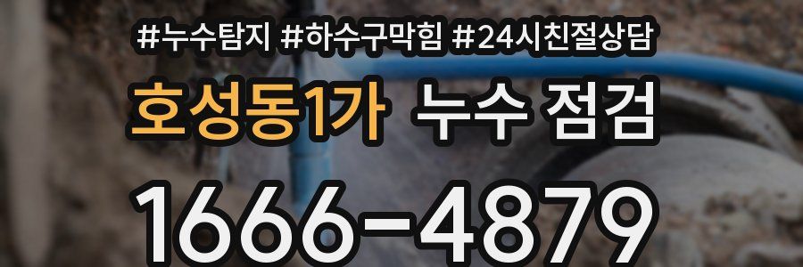 호성동1가 누수 점검